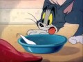 x202aTomi Jerry Shqip Boj e pa dukshmex202cr