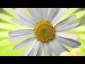 правильный ленточный фундамент-2