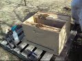 Starting a New Bee Hive