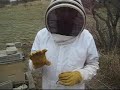 Starting a New Bee Hive