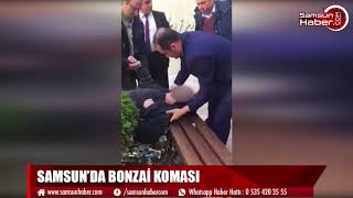 SAMSUN’DA BONZAİ KOMASI