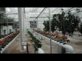 Inside the Greenhouses on 'Living with the Land' Ride at Epcot, Disney World, Lake Buena Vista, FL