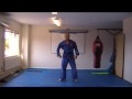 Seiryoku Zen’yo Kokumin Taiiku