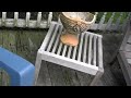 Deck restoration, using Rustoleum Deck Restore