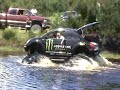 Monster Beetle