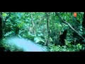 Nazar Nazar Full Song Film - Nazar