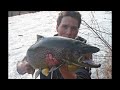 Havsöring 5kg+ Mörrum Big sea trout
