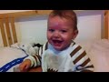 Baby laughing at funny animal noises