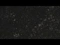 A Flight Through the Universe, by the Sloan Digital Sky Survey