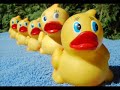 la danse des canards remix 2008!!! (français, espagnol, allemand, italien!)