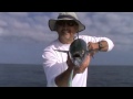 Near Shore Fishing