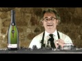Catas Segura Viudas: Lavit Brut Nature
