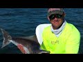 Nearshore Fishing with www.reelintenseinshore.com