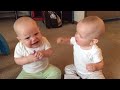 Twin baby girls fight over pacifier