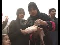 PU Own Fish Farm Fishes Sale Started Pkg By Akmal Somroo City42