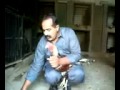 ASEEL ROOSTER TAKE care