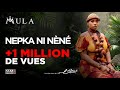 Mula - Nekpa Ni Nene - Visualizer