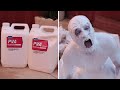Bathing In PVA GLUE! EPILEPSY ALERT