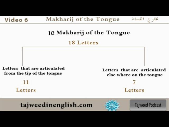 Tajweed lesson 7: Introduction to the tongue makhraj