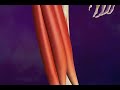 Pulling a Hamstring Muscle - What Is a Pulled Hamstring
