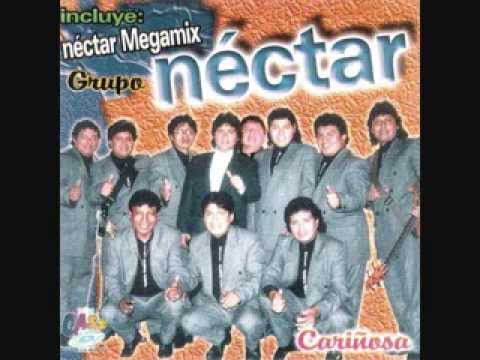 nectar busco una chica letra