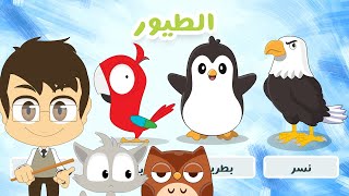 اسماء الطيور للأطفال - لعبة صل الكلمة بالصورة (الحلقة 20) | تعلم أسماء الطيور بالعربية مع زكريا