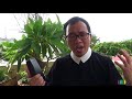 LỜI HẰNG SỐNG - Thứ Năm 16/08/2018: TẠI SAO PHẢI THA THỨ?