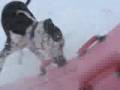 Juegos de Invierno Juegos de Invierno