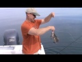 Fishing Nearshore & Riggin