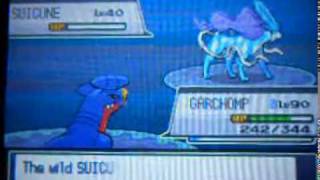 Suicune Soul Silver Catch Rate