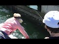 Inshore Fishing Charter Tampa Bay