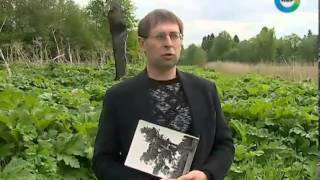 Лукоморья больше нет? В.А. Ефимов. О тайнах А.С. Пушкина.