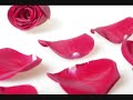 LONG Playlist of Relaxing Soft Piano Music to Sleep and Study