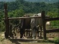 La strada delle mele