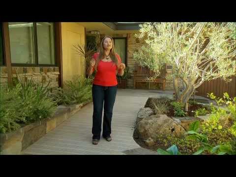 The Garden Gurus - Shirley's Landscape Trends: Gardens for Now and for the Future