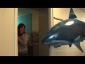 Air Swimmers - Awesome RC Flying Shark and Clownfish!
