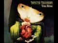 Infected Mushroom – Vicious Delicious – CDr (Album, Promo