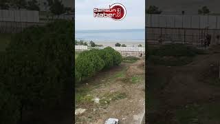 Atakum'da ağaçların kesilmesine tepki