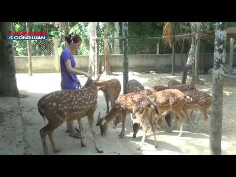 Nhung Hươu Chiến Sơn, Thương hiệu được sinh ra từ làng