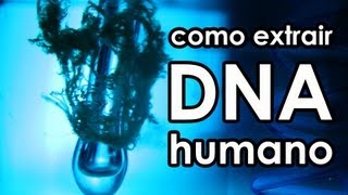 Como extrair DNA humano