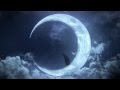 bayonetta platinum nintendo wii u