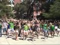 World's Largest Simultaneous Flashmob - Davis, CA Thumbnail