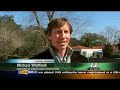 Green Roofs in the Carolinas