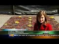 Green Roofs in the Carolinas