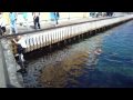 Stupid Norwegians having a swim