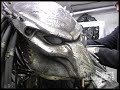 AVPR- To Dress A Predator