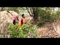 Tony Kannada Movie | Entele Maavina | Video Song HD | Srinagar Kitty, Aindrita Ray