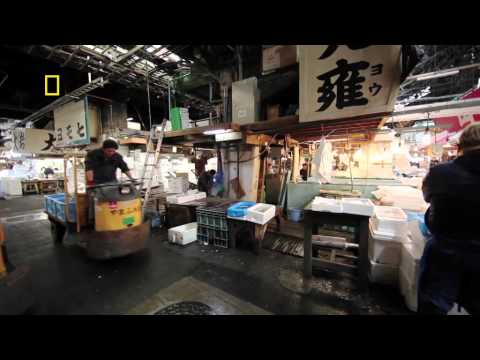 Discovers Tokyo with World Expeditions