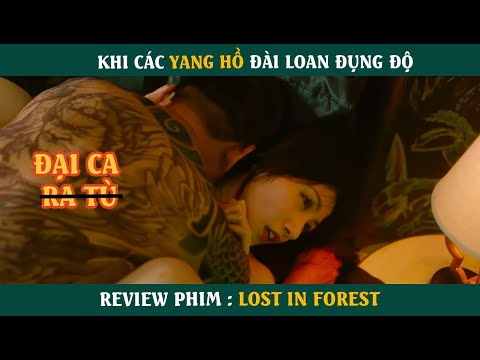 Khi Các Yang Hồ Đài Loan Đụng Độ | Review phim : Lost In Forest