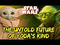Complete Story of Yodas Species Mysteries & Legends Explained